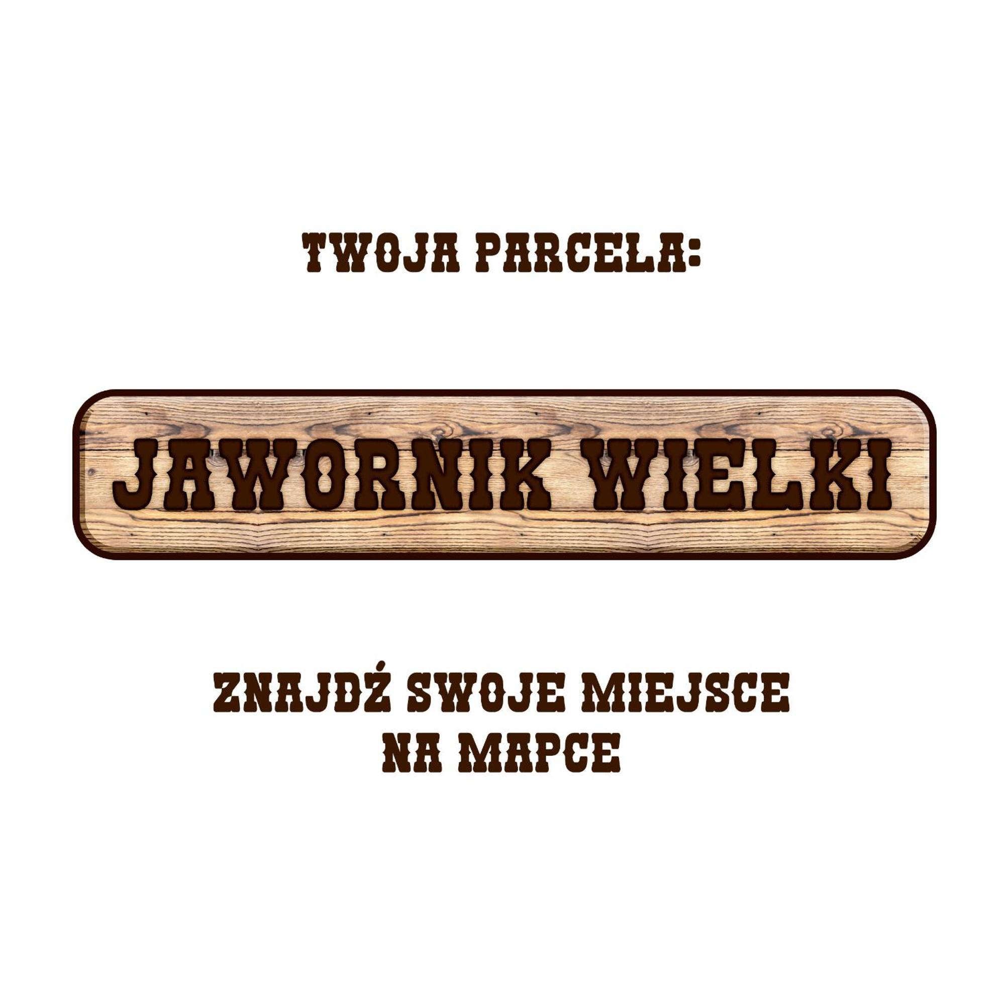 Gory Stolowe Camp -Miejsce Na Kamper, Przyczepe Lub Namiot 拉德库夫 外观 照片